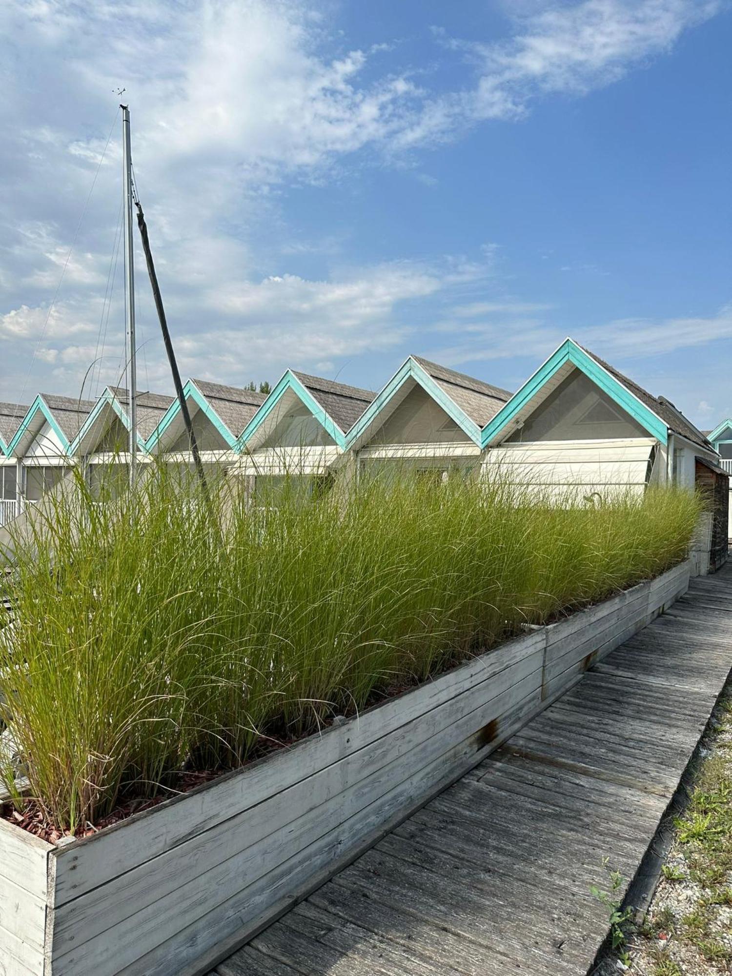 Haus Am See Nezsider Kültér fotó