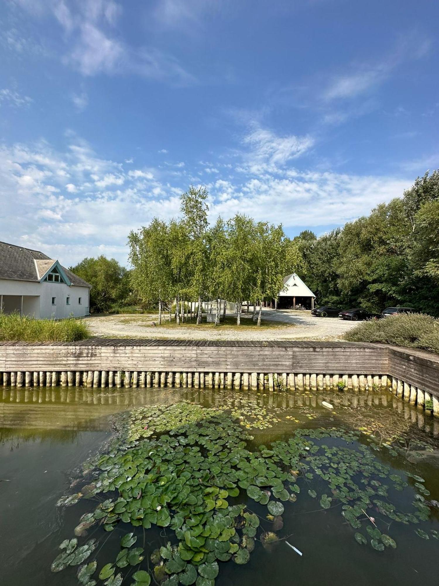 Haus Am See Nezsider Kültér fotó