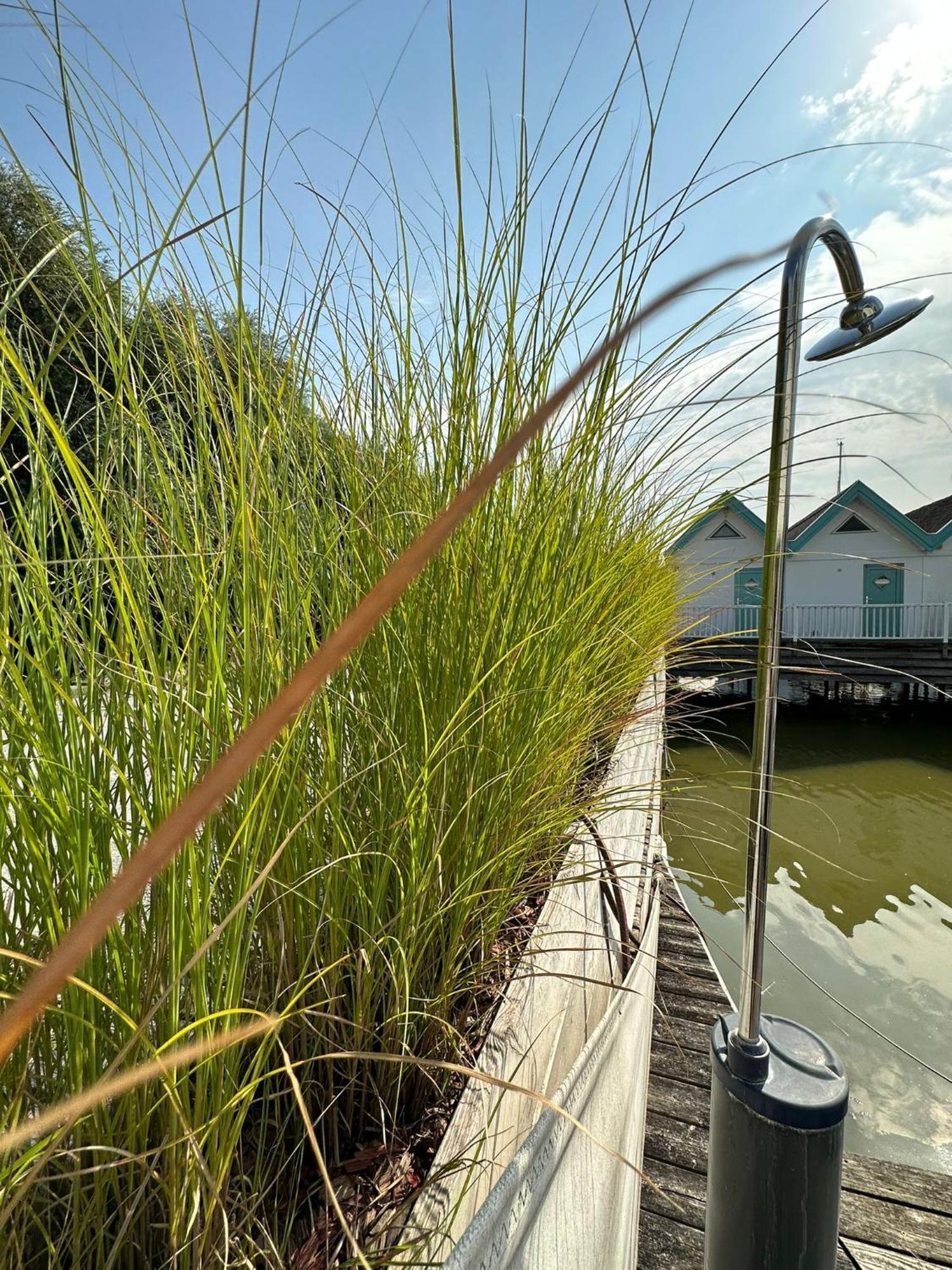 Haus Am See Nezsider Kültér fotó