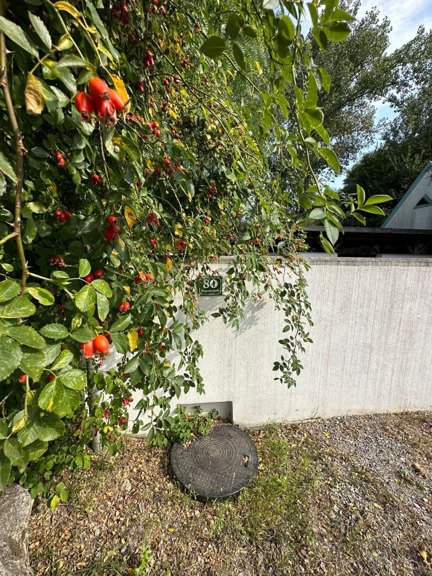 Haus Am See Nezsider Kültér fotó